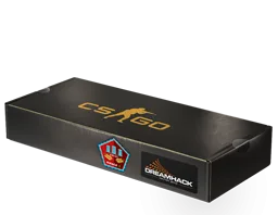 DreamHack 2014 Mirage Souvenir Package