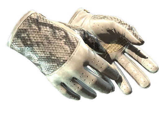 ★ Driver Gloves | King Snake