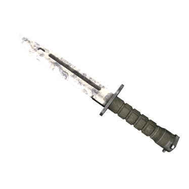 ★ Bayonet | Stained (Well-Worn)